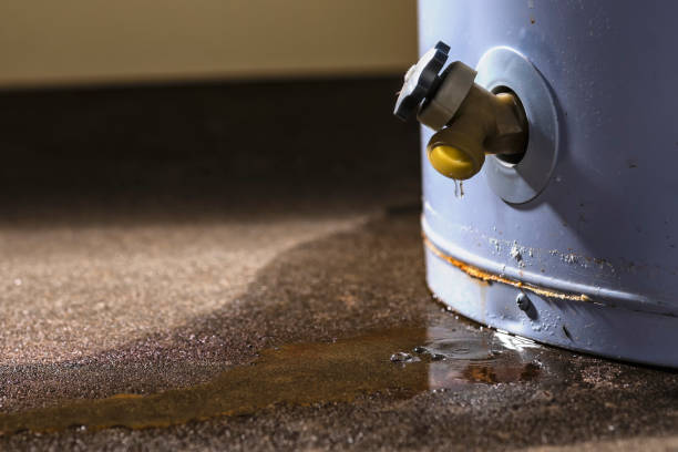 Best Sewage cleanup and water damage restoration  in Lac Du Flambeau, WI