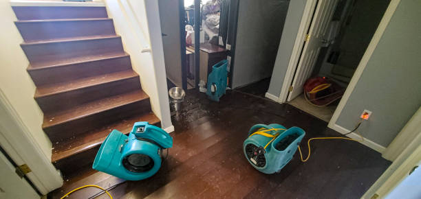 Best Fire Damage Restoration  in Lac Du Flambeau, WI