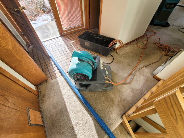 Best Carpet water damage restoration  in Lac Du Flambeau, WI