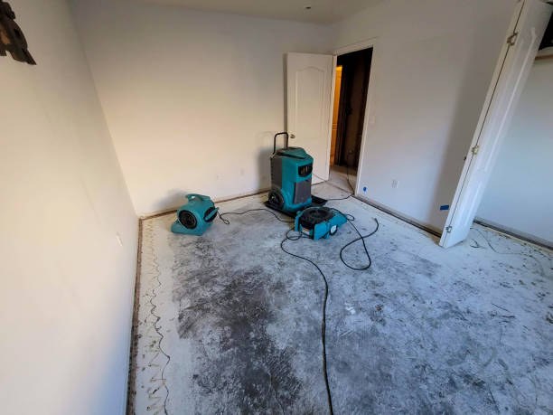 Best Flooded house restoration  in Lac Du Flambeau, WI
