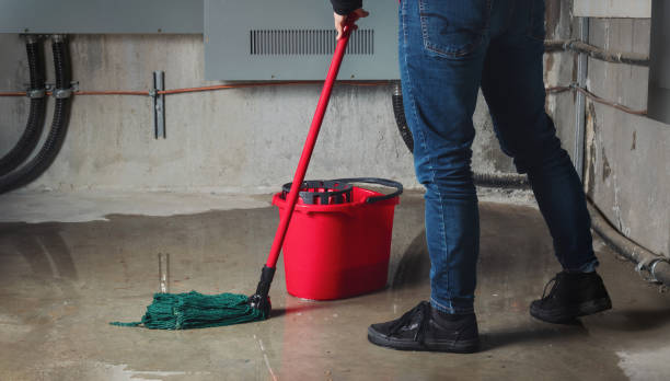 Best Basement water damage restoration  in Lac Du Flambeau, WI
