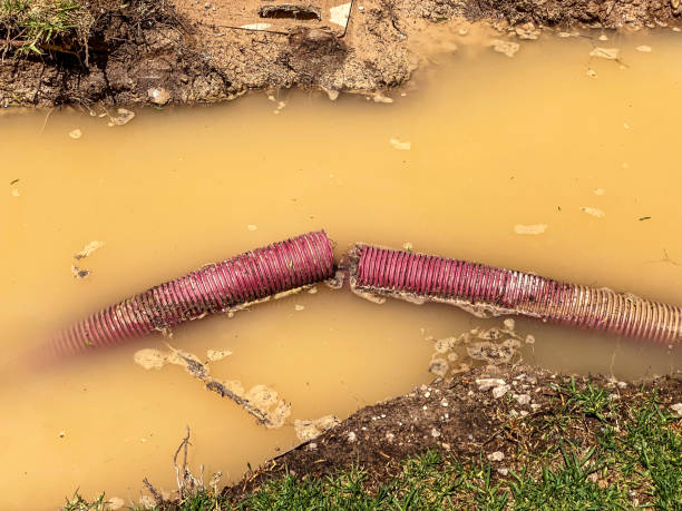 Best Water damage contractors near me  in Lac Du Flambeau, WI